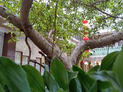 -广州酒家(文昌总店)