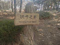 -燕窝岭