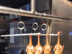 -三强鸽子(中原路店)