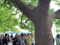 -西湖游船