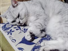 -不舍昼夜咖啡馆