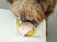 -好利来(团结湖店)