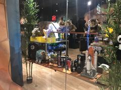 -珠海横琴国家地理探险家中心(创新方)