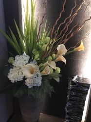 -史云逊养发中心