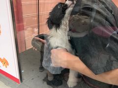 -FAELING PETS美天灵宠物(合生汇店)