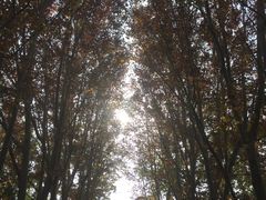 -北京航空航天大学-图书馆