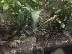 -上海昆虫博物馆