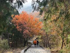 -丽泽山庄·生态怀柔菜·虹鳟鱼(红螺寺店)