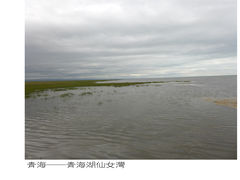 -青海湖仙女湾景区