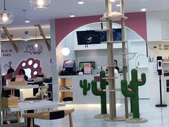 大堂-喵园·猫主题咖啡厅·撸猫·猫咖(国贸店)