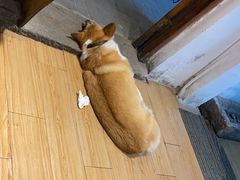 -阿木舂记·特色小吃(平江路店)