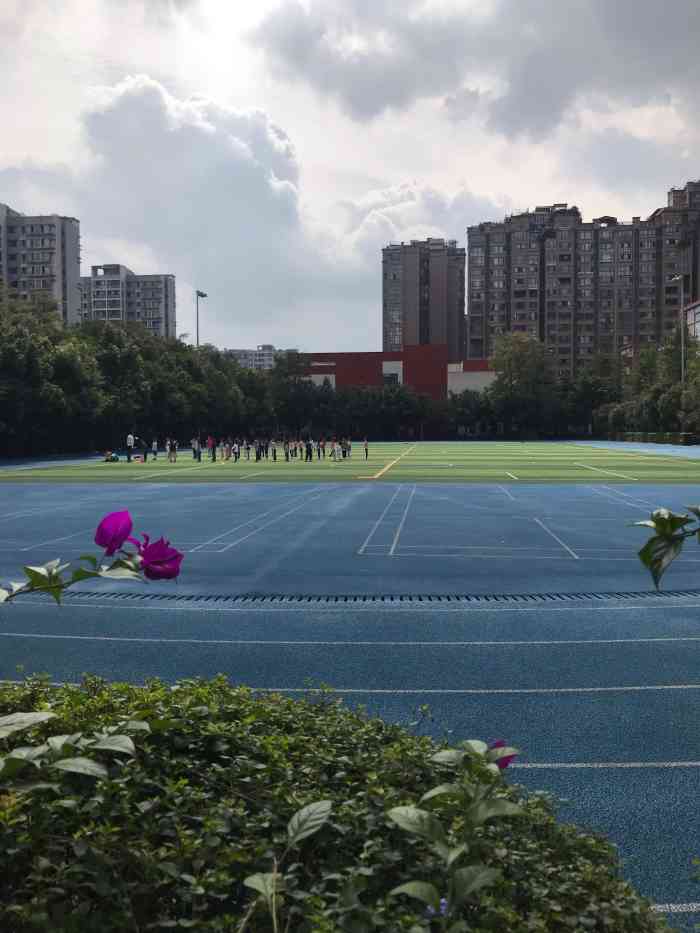 成都市泡桐树小学(天府校区)