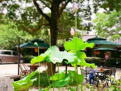 -临江宴餐厅·桐庐菜(富春江店)