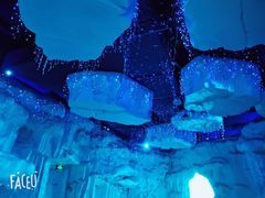 -芜湖新华联大白鲸海洋公园