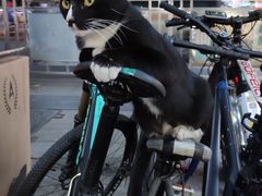 -维客单车(响水路店)