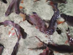 -多彩贵州城极地海洋世界