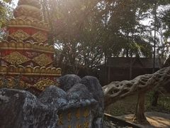 -独树成林