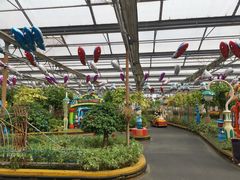 -南宫五洲植物乐园