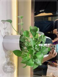 -木北造型