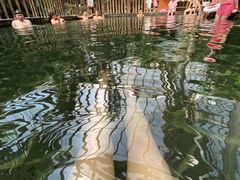 -龙达温泉生态城