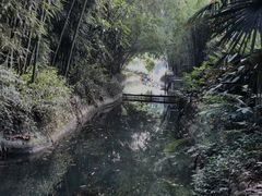 -望江楼公园