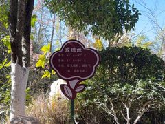 -大理地热国
