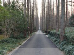 外景-上海怡沁园度假酒店