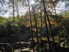 -山沟沟景区