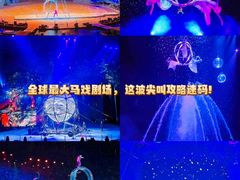 -广州长隆国际大马戏