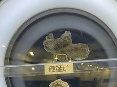 -上海儿童博物馆