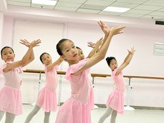 -墨舞舞蹈(顾村公园店)