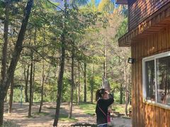 -洛阳白云山景区