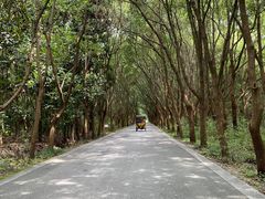 -同里国家湿地公园