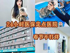 -美联众合动物医院·24h京西诊疗中心