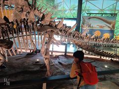 -湖南省地质博物馆