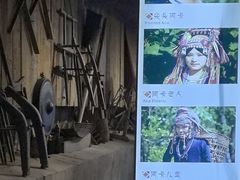 -西双版纳原始森林公园