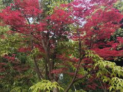 -白鹭湾湿地公园