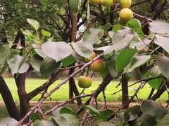 -辛庄国际文化艺术区