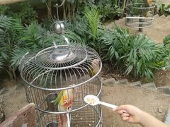 -南宫五洲植物乐园