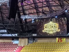 -俄罗斯国家大马戏团