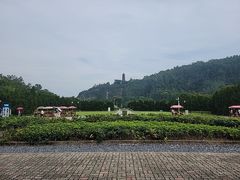 -南沙蒲洲花园