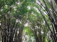 -成都杜甫草堂博物馆