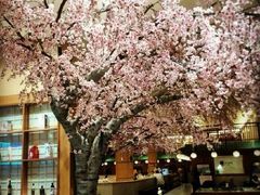 -大江户·温泉洗浴(浑南店)
