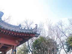 -莲湖公园