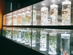 -广东中医药博物馆