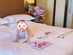 -济南喜来登酒店