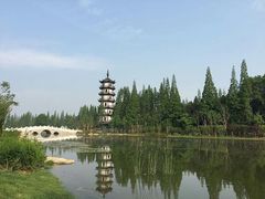 -桃花岛公园