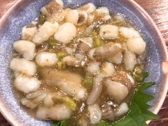芥末章鱼-鸟亭·居酒屋(青年路店)