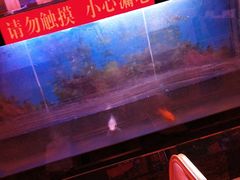 -董家湾重庆老火锅(张家窝店)