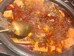 麻辣豆花烤鱼-探鱼·鲜青椒爽麻烤鱼(正佳广场店)